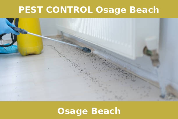 PEST CONTROL Osage Beach